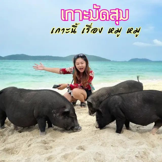 มาเยี่ยม น้องหมู อู๊ด อู๊ด