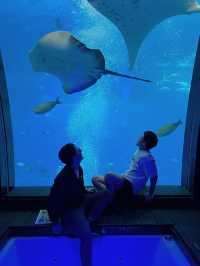 🇸🇬｜Ocean Suites at Sentosa Singapore