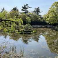 慶州景點-UNESCO世界文化遺產-佛國寺