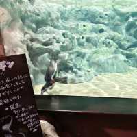 沖繩景點DMM_Kariyushi水族館 