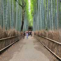 京都二日遊