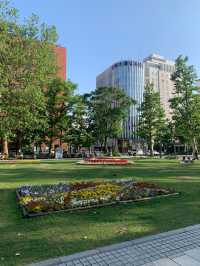 札幌　札幌観光　初夏の札幌大通公園に行ってみた2023年