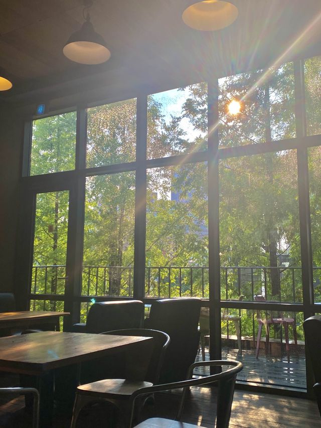 도심 한가운데 위치한 초록초록한 뷰를 가진 알베르🌳