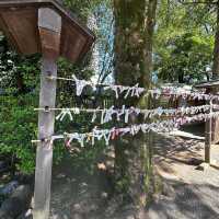 A peaceful pitstop near Harajuku 