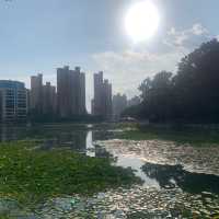 창원에서 아이들과 함께 산책하기 좋은 용지호수