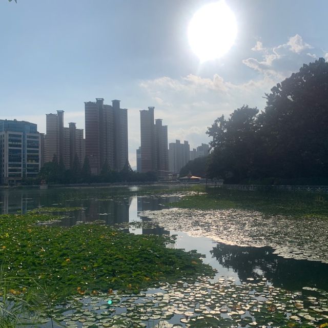 창원에서 아이들과 함께 산책하기 좋은 용지호수