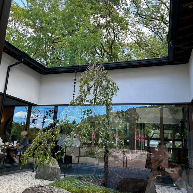 大阪市立自然史博物館に行くなら！桜珈琲