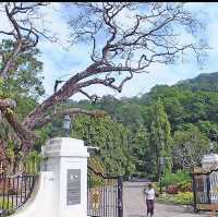 Penang's Botanical Paradise