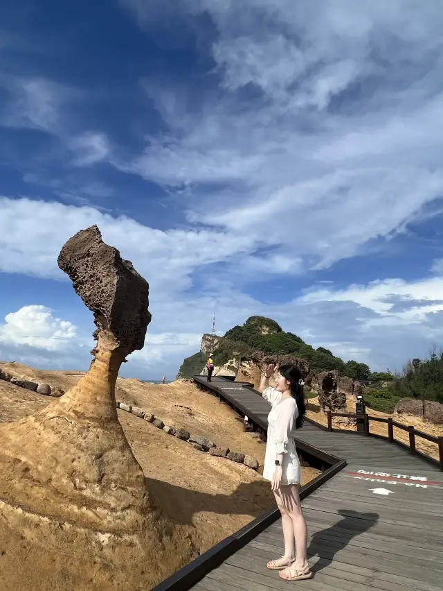 풍화작용으로 인한 기암괴석이 가득한 지질공원 [예류 지질공원]