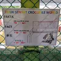 Where To Find 100 Year Old Crocodiles? 🐊