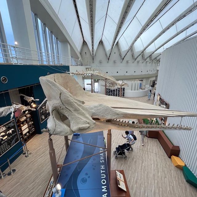 🐬🍨日本福岡 不能錯過的水族館餐廳😍
