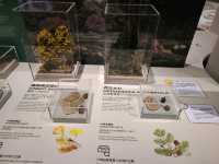 科學館古生物恐龍展