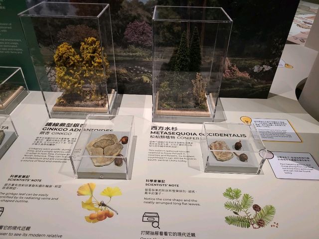 科學館古生物恐龍展