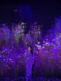 ARTE MUSEUM VALLEY - A Korean version of Teamlab 