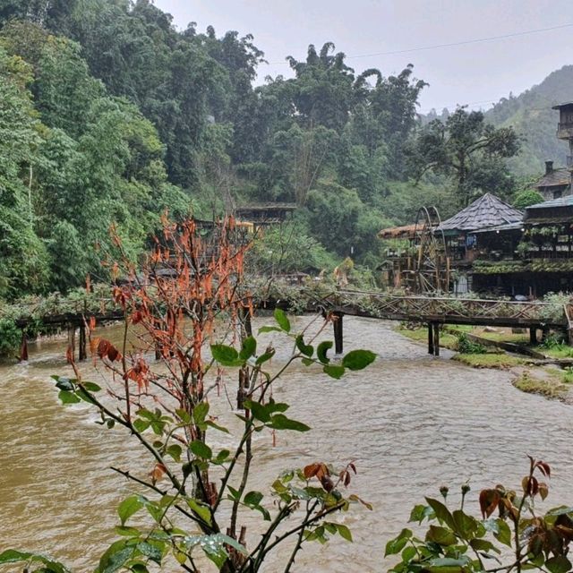 Bản Cát Cát