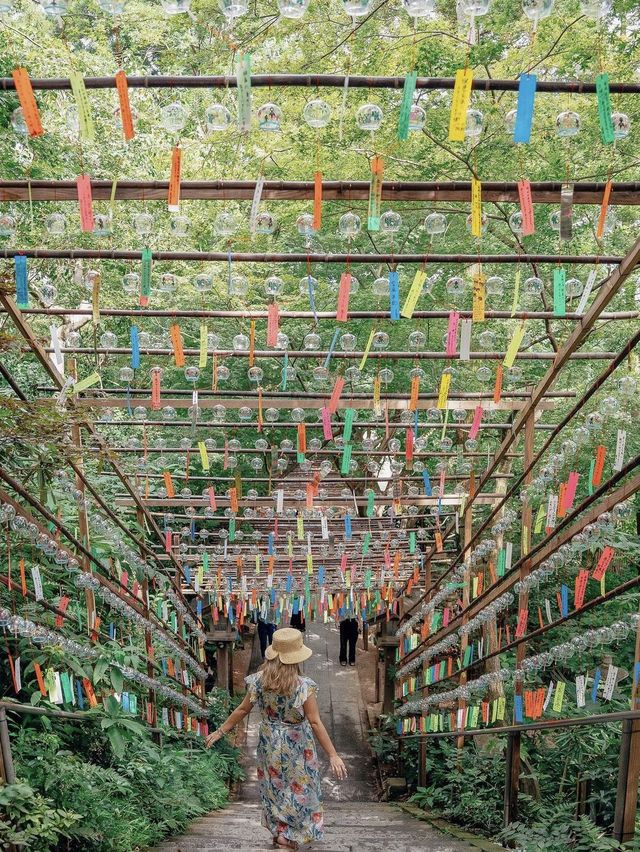 かえる寺　如意輪寺　📍福岡