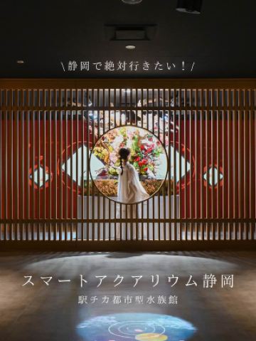 【靜岡】一定一定要去！車站附近夢幻的城市水族館🐟💡