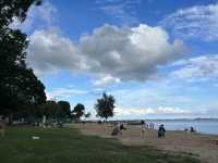 Romantic Picnic by the Beach