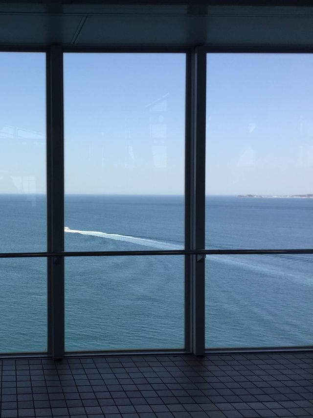 世界三大漩渦之一🌊 📍日本鳴門市「鳴門漩渦」