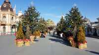 Everland Theme Park, Yongin