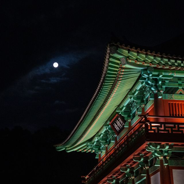 경주 야경 원탑 월정교!