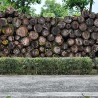 Luodong forest culture park