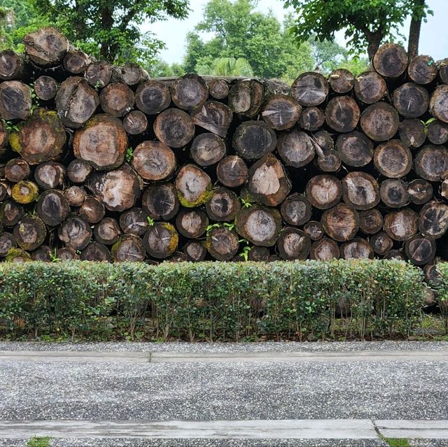 Luodong forest culture park