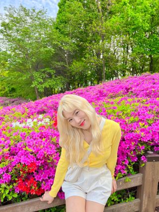 군포 철쭉동산❣️