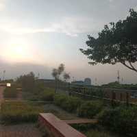 บรรยากาศดีๆ ที่ อุทยาน ๑๐๐ ปี จุฬาฯ 🌳🌷