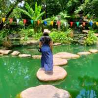 Rabbit Hole At Phuket 