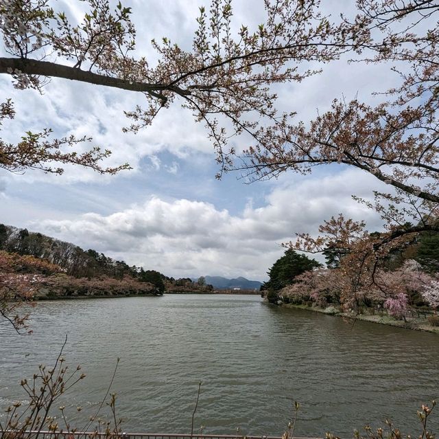 Blossoms, Ducks, Mount Iwate: Tale of Takematsu Pond