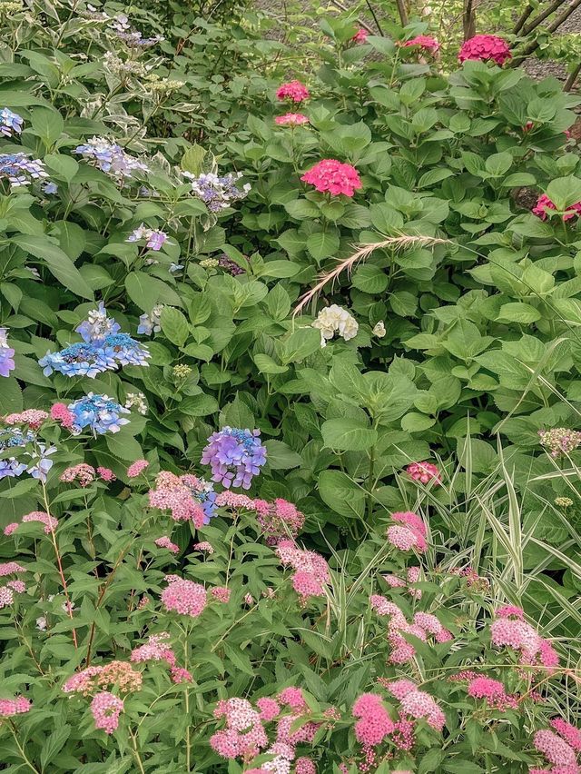 여름의 싱그러움을 만날 수 있는 곳☀️