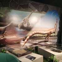 打卡深圳歷史民俗館化石展☞重返白堊紀