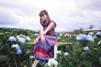 Garden Hydrangeas เมืองดาลัด (Da Lat)