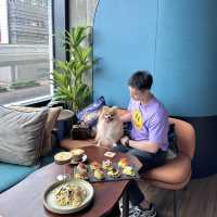 上環寵物友善餐廳🐶打卡酒吧cafe 