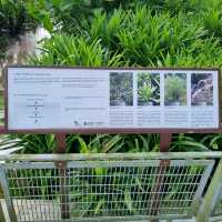 Relax with Nature At Admiralty Park