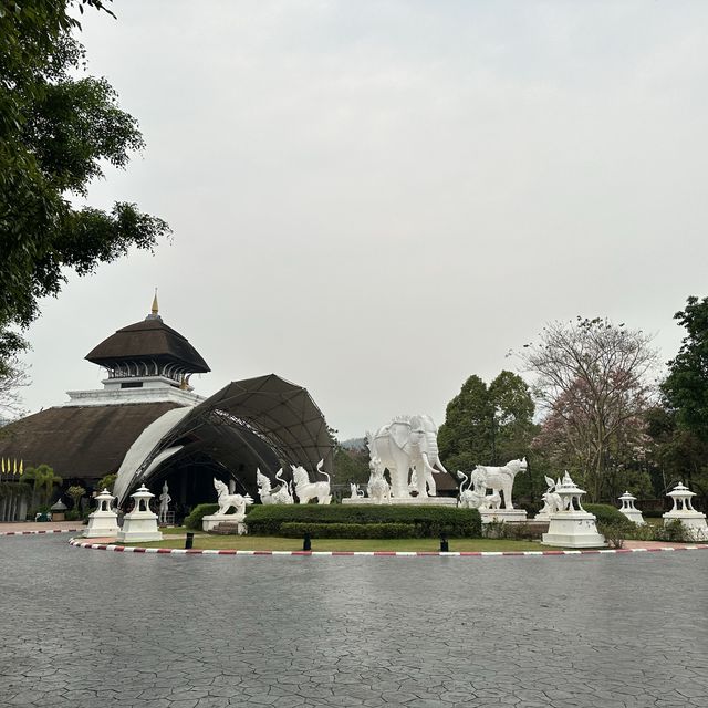 泰國 清邁 夜間野生動物園