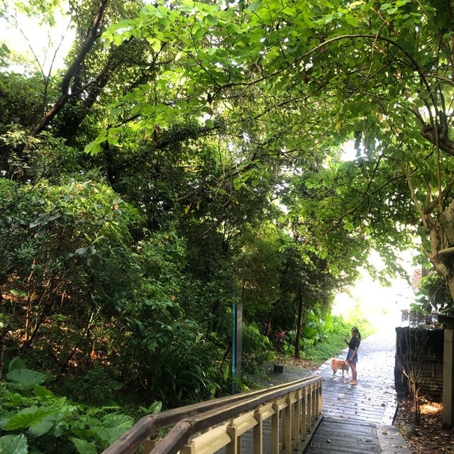 大溪月眉古道