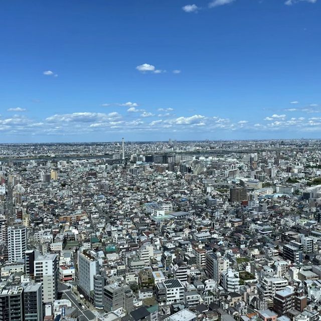 🌟 東京之顛@晴空塔🌟