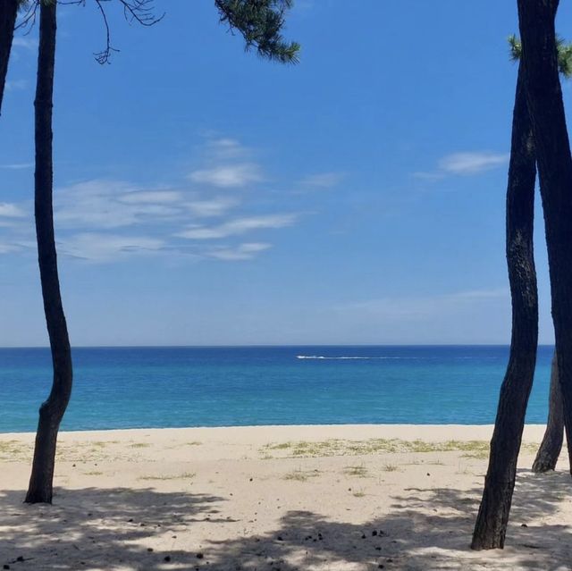 🌊 강릉의 푸르름, 파란 바다의 송정해변에서 힐링을