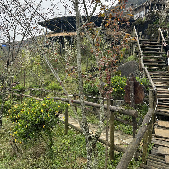 童話般的世外桃源 — 河內Sapa🇻🇳