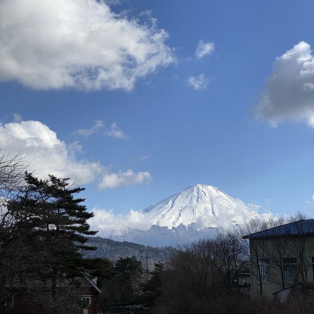 Hunting for Mt. Fuji Day