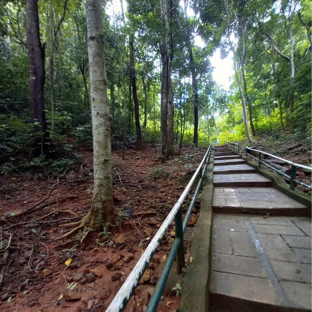 Dayang Lake 