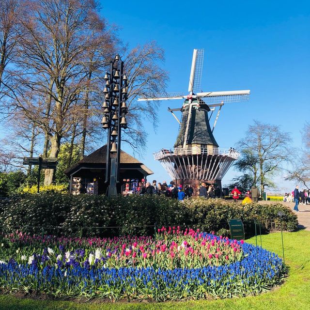 荷蘭🇳🇱盧瑟Lisse•風車景觀區🎡🛶Keukenhof Garden庫肯霍夫花園 