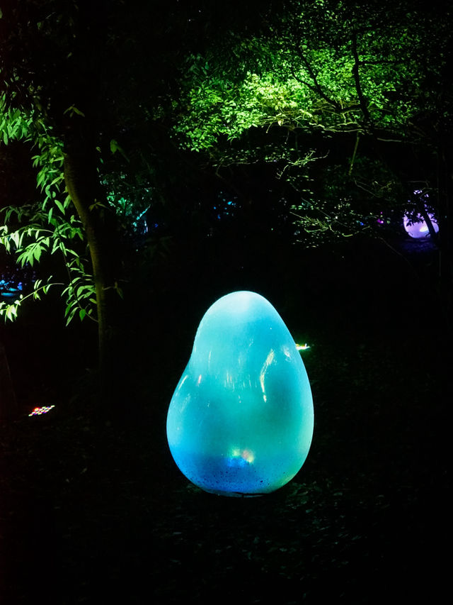 大阪戶外Teamlab-突破物質界限嘅藝術展