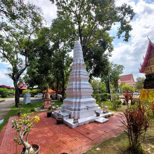 วัดช้างเผือก สะเดียง