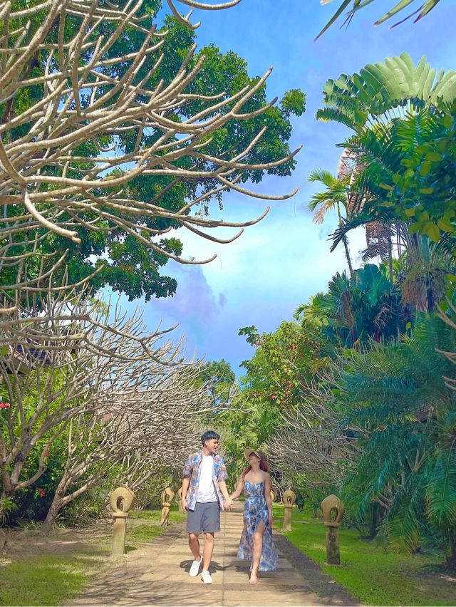 หนีแมวไปติดเกาะช้างที่ Barali 🌸 ทริป 3 วัน 2 คืน 