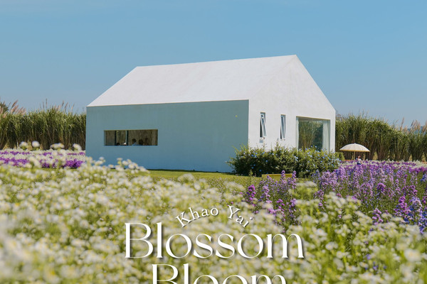 🌸 Blossom Bloom #คาเฟ่เปิดใหม่เขาใหญ่ อัพเดท 2023 | Trip.com