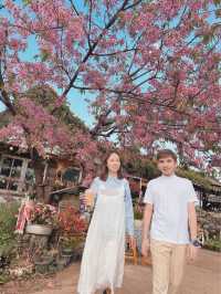 🌸โปโป ปิงปิง ร้านกาแฟสไตล์ญี่ปุ่นน่ารักๆ🌸