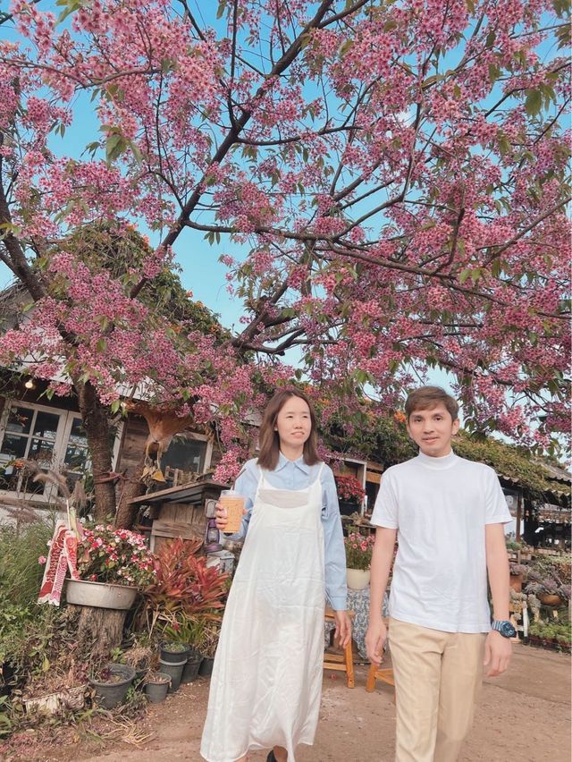 🌸โปโป ปิงปิง ร้านกาแฟสไตล์ญี่ปุ่นน่ารักๆ🌸